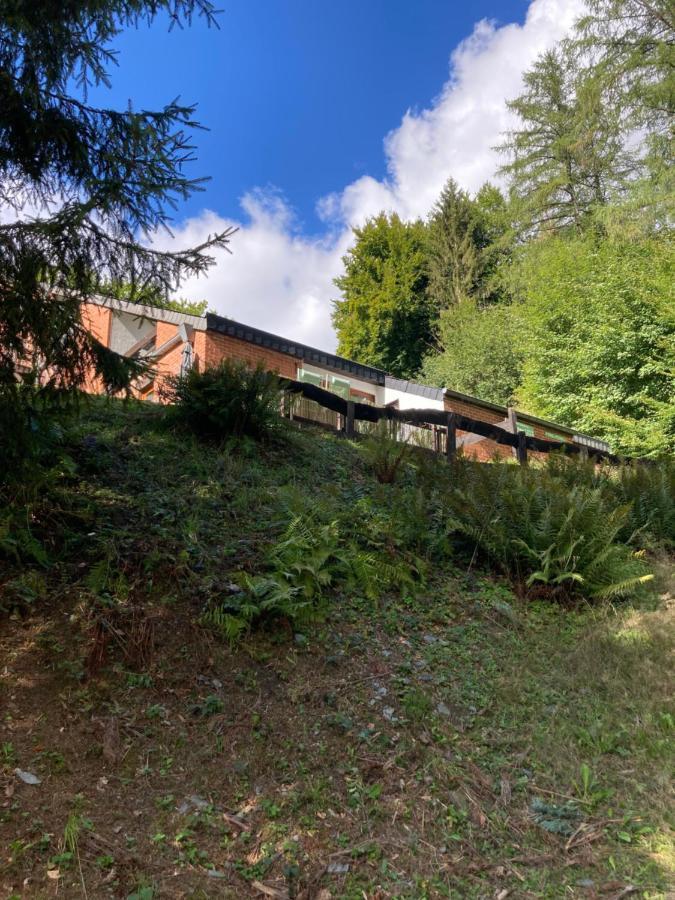 Le Cottage De Christine Vresse-sur-Semois Bagian luar foto