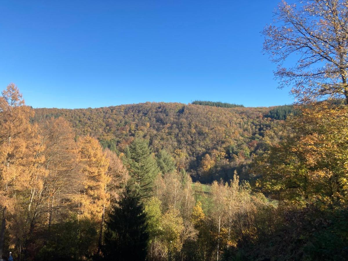 Le Cottage De Christine Vresse-sur-Semois Bagian luar foto